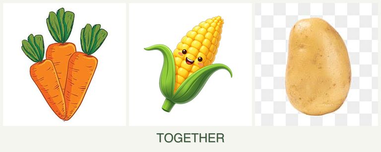 Can you plant carrots, corn and potatoes together?