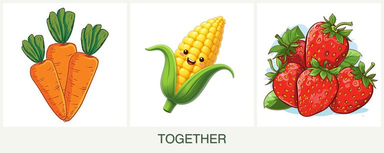 Can you plant carrots, corn and strawberries together?