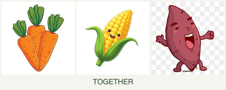 Can you plant carrots, corn and sweet potatoes together?