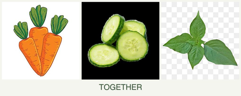 Can you plant carrots, cucumbers and basil together?