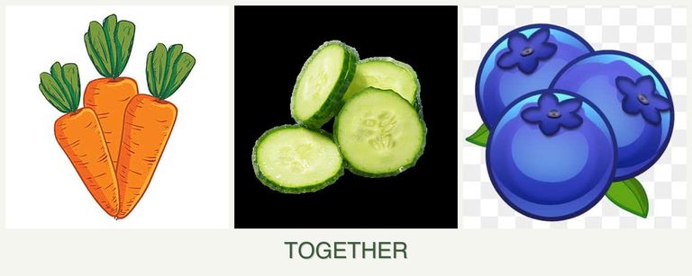 Can you plant carrots, cucumbers and blueberries together?