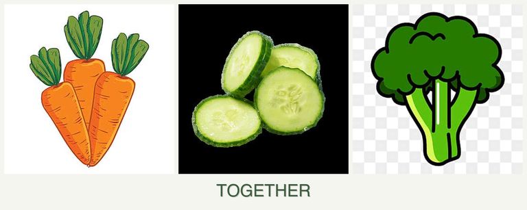 Can you plant carrots, cucumbers and broccoli together?