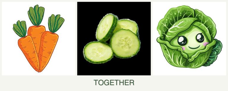 Can you plant carrots, cucumbers and cabbage together?