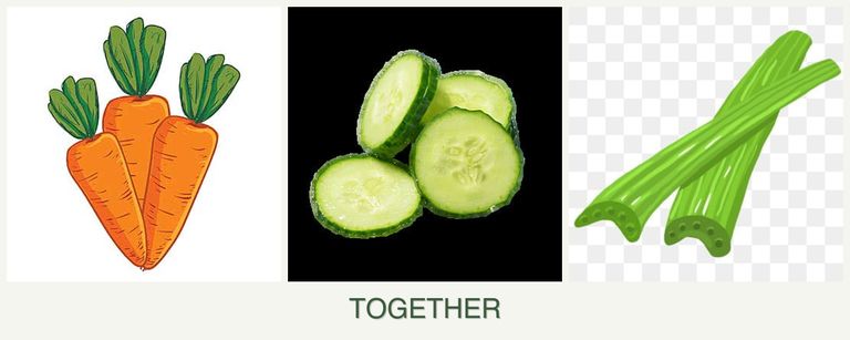Can you plant carrots, cucumbers and celery together?