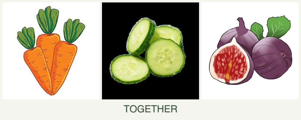 Can you plant carrots, cucumbers and figs together?