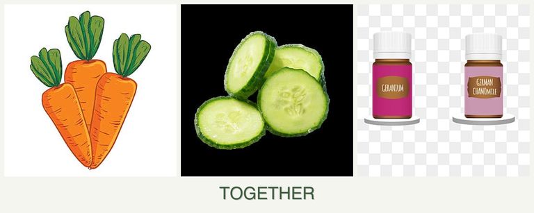 Can you plant carrots, cucumbers and geraniums together?