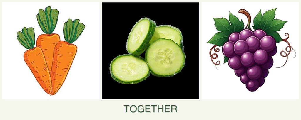 Can you plant carrots, cucumbers and grapes together?