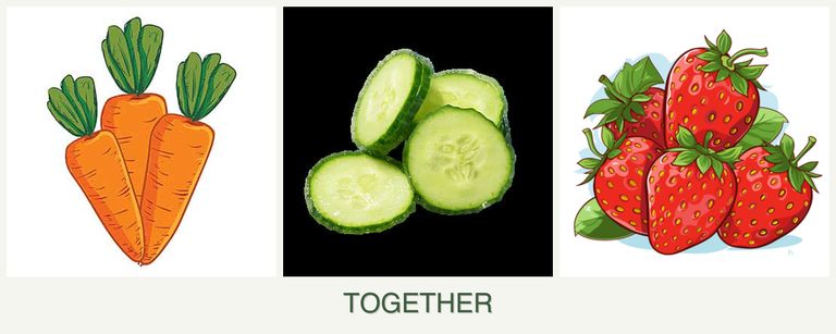 Can you plant carrots, cucumbers and strawberries together?