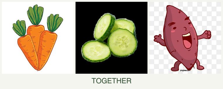 Can you plant carrots, cucumbers and sweet potatoes together?