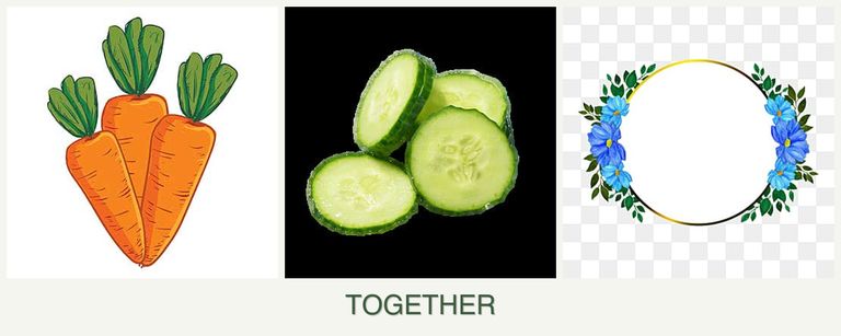 Can you plant carrots, cucumbers and zinnias together?