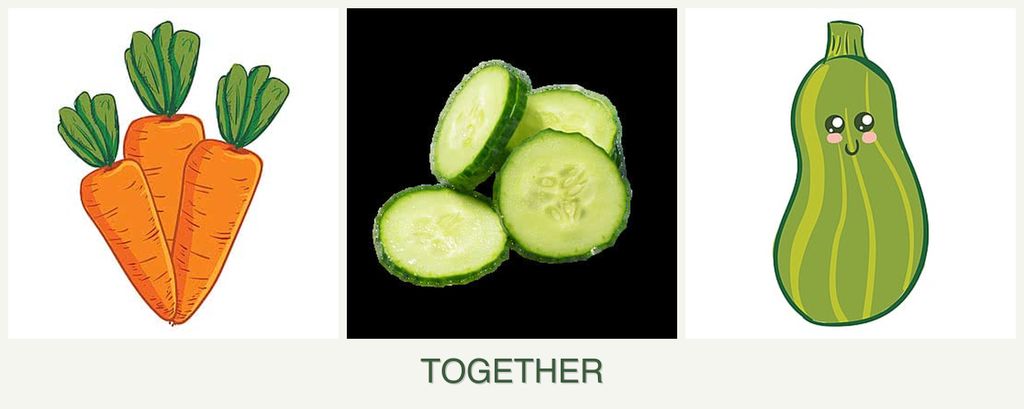 Can you plant carrots, cucumbers and zucchini together?