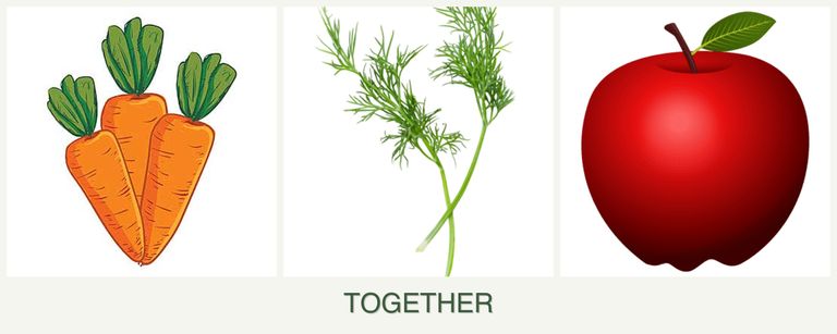 Can you plant carrots, dill and apples together?