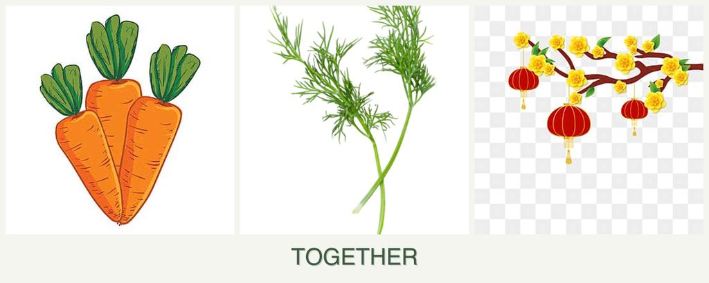 Can you plant carrots, dill and apricots together?