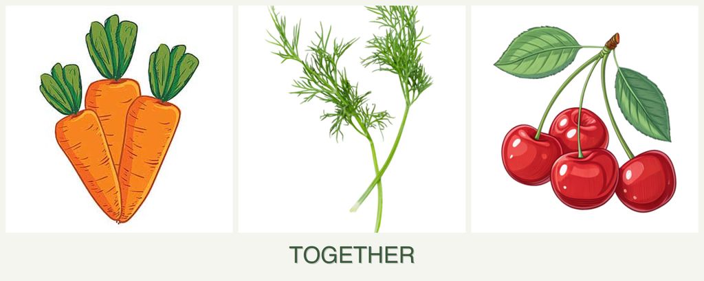 Can you plant carrots, dill and cherries together?