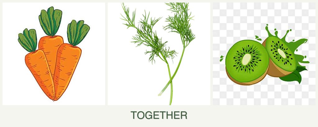 Can you plant carrots, dill and kiwi together?