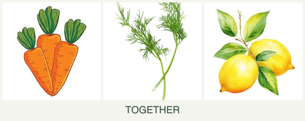 Can you plant carrots, dill and lemons together?