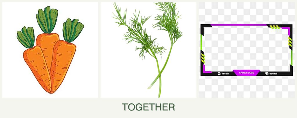 Can you plant carrots, dill and limes together?