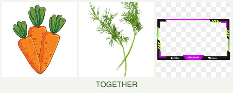 Can you plant carrots, dill and limes together?