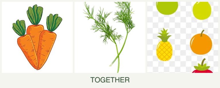 Can you plant carrots, dill and pears together?