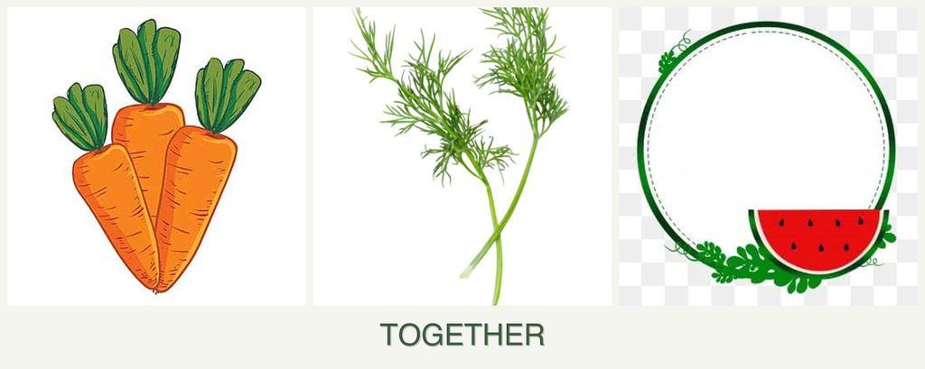 Can you plant carrots, dill and watermelons together?