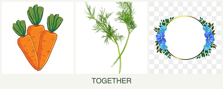 Can you plant carrots, dill and zinnias together?
