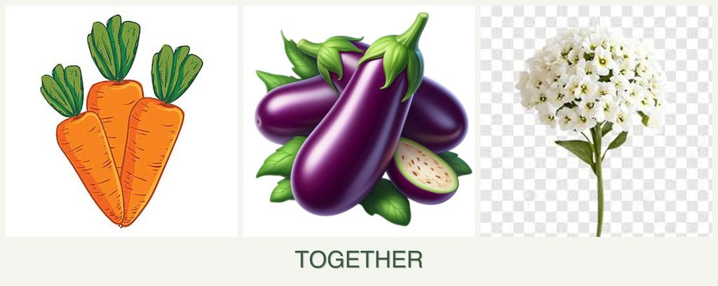 Can you plant carrots, eggplant and alyssum together?