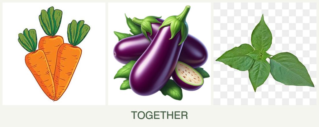 Can you plant carrots, eggplant and basil together?