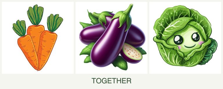 Can you plant carrots, eggplant and cabbage together?