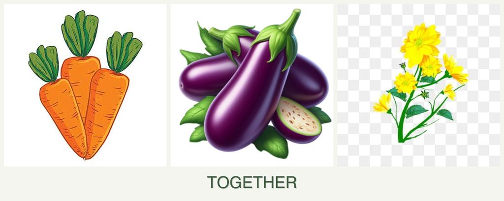 Can you plant carrots, eggplant and calendula together?
