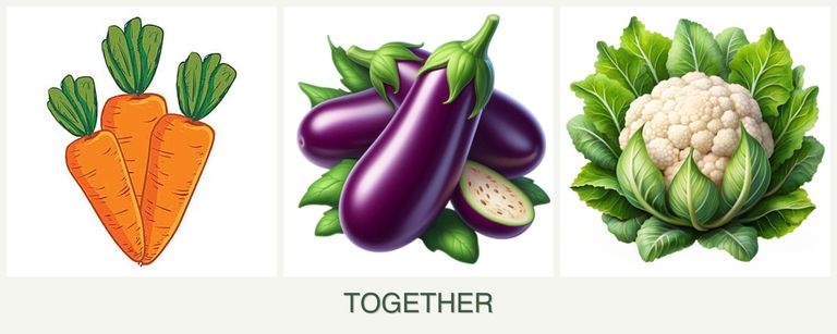 Can you plant carrots, eggplant and cauliflower together?