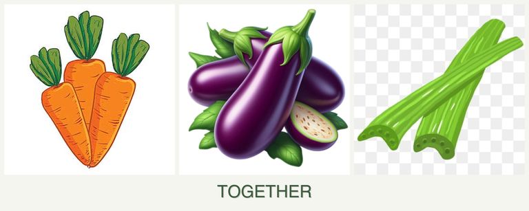 Can you plant carrots, eggplant and celery together?