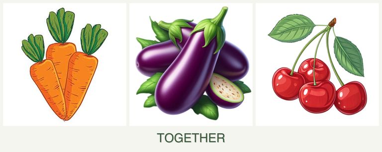 Can you plant carrots, eggplant and cherries together?