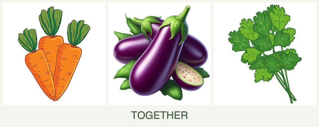 Can you plant carrots, eggplant and cilantro together?