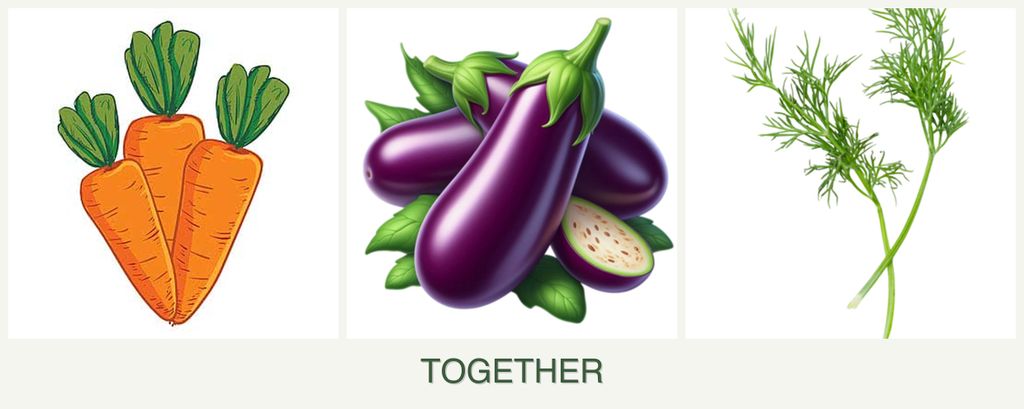 Can you plant carrots, eggplant and dill together?