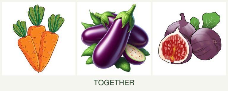 Can you plant carrots, eggplant and figs together?
