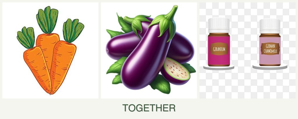 Can you plant carrots, eggplant and geraniums together?