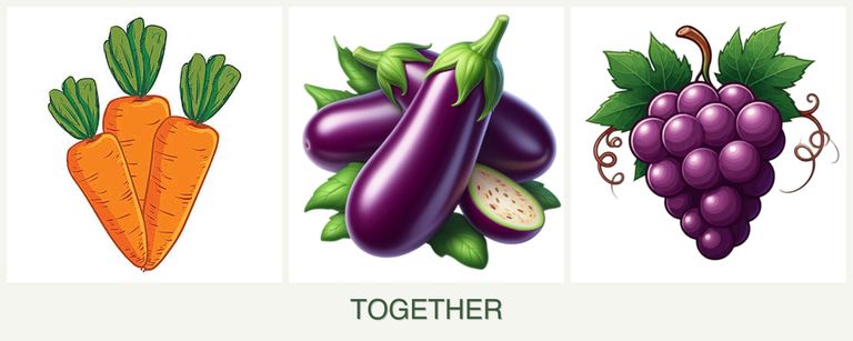 Can you plant carrots, eggplant and grapes together?