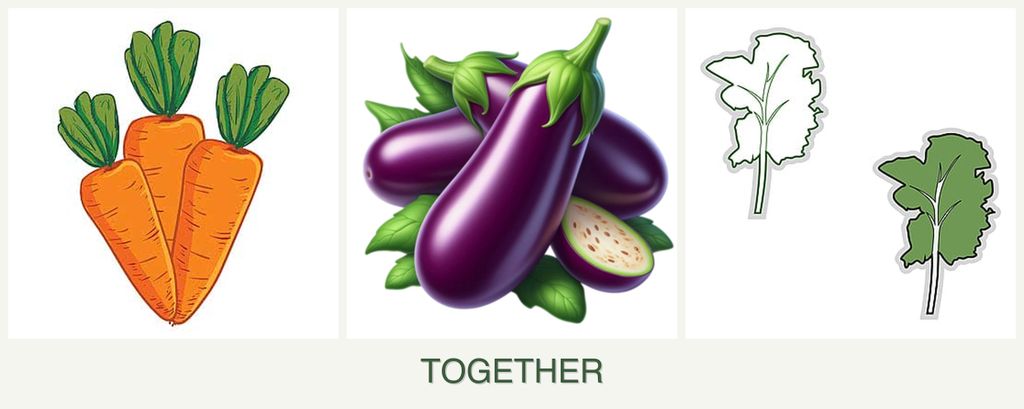 Can you plant carrots, eggplant and kale together?
