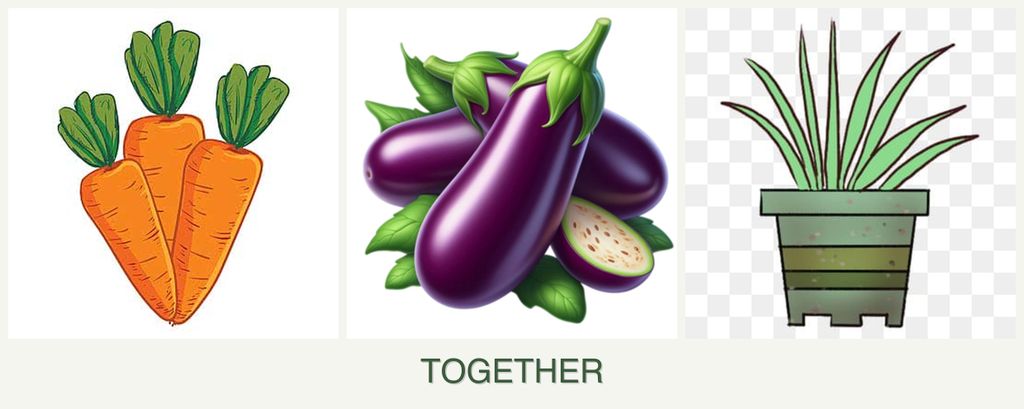 Can you plant carrots, eggplant and lemongrass together?
