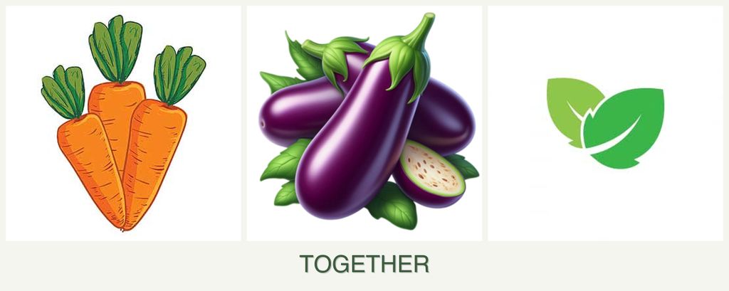 Can you plant carrots, eggplant and mint together?