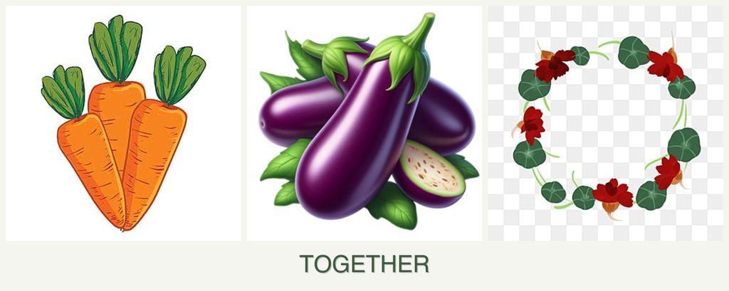Can you plant carrots, eggplant and nasturtiums together?