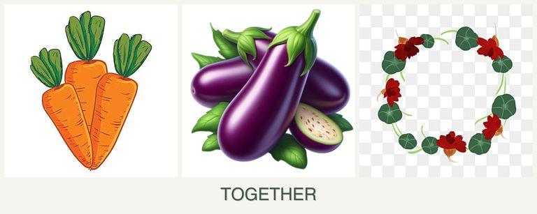 Can you plant carrots, eggplant and nasturtiums together?