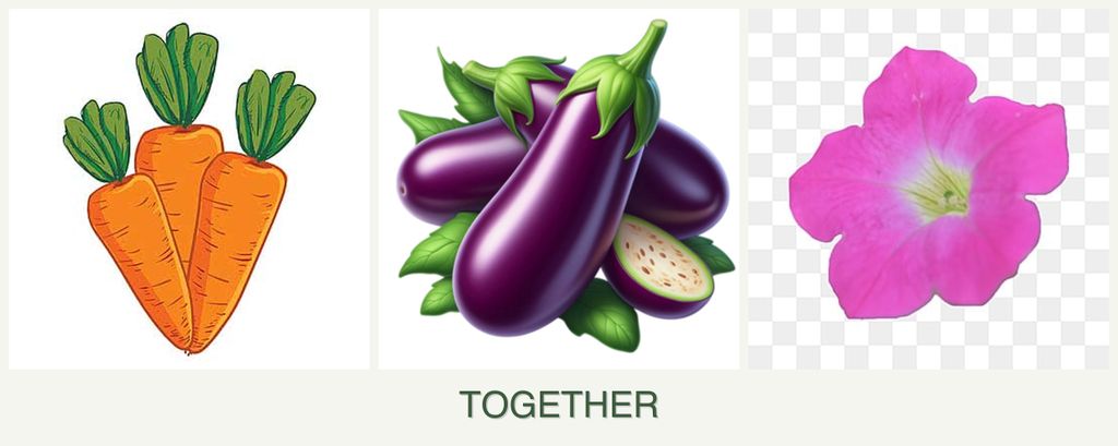 Can you plant carrots, eggplant and petunias together?