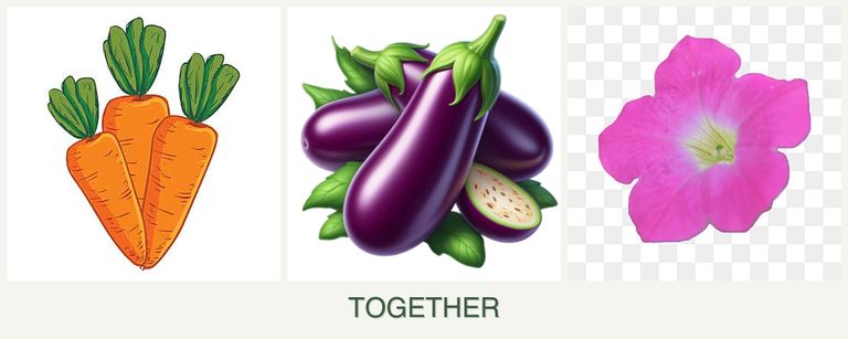 Can you plant carrots, eggplant and petunias together?
