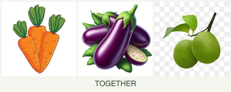 Can you plant carrots, eggplant and plums together?