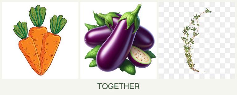 Can you plant carrots, eggplant and thyme together?