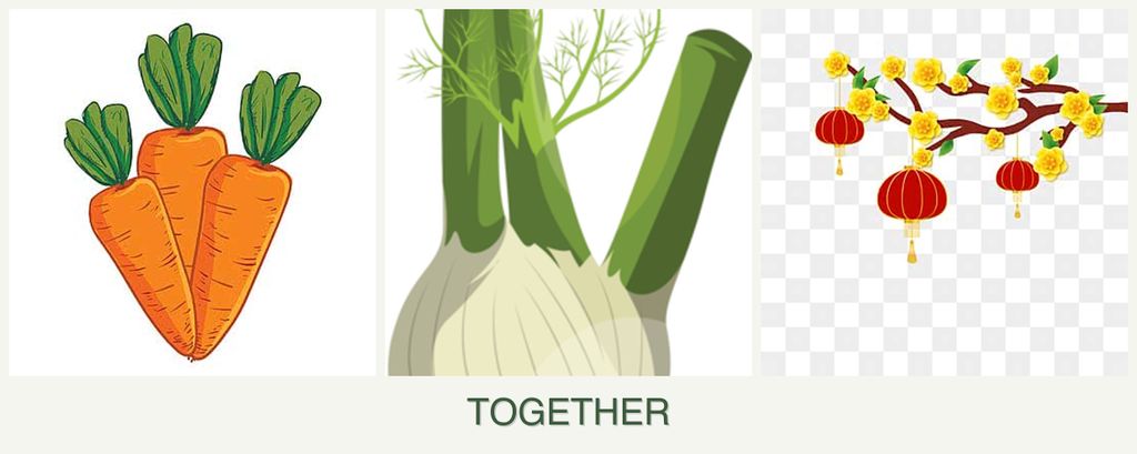 Can you plant carrots, fennel and apricots together?