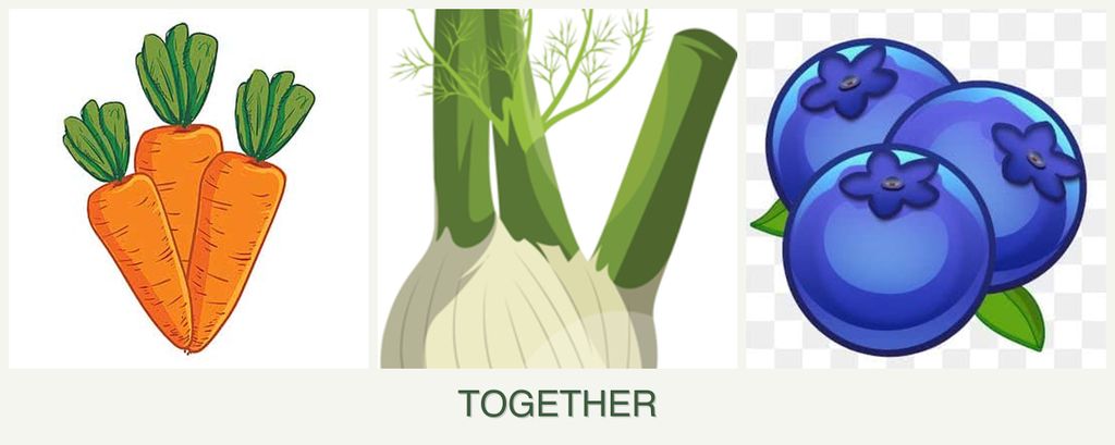 Can you plant carrots, fennel and blueberries together?