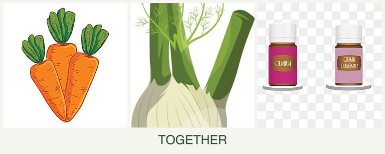 Can you plant carrots, fennel and geraniums together?