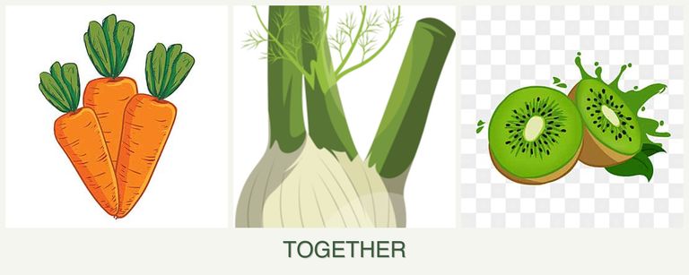 Can you plant carrots, fennel and kiwi together?